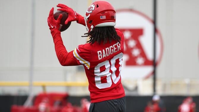badger.jpg
