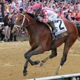 horse-racing-usatsi-generic.jpg