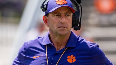 dabo.png