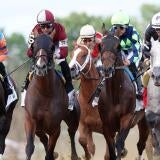 horse-racing-usatsi-generic.jpg