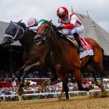 horse-racing-usatsi-generic.jpg
