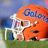 gators.jpg