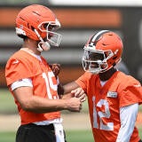 joe-flacco-browns.png