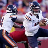 fd-bears.jpg