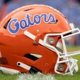 gators.jpg