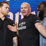 terence-crawford-canelo-alvarez-getty.jpg
