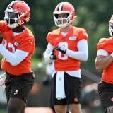 browns.jpg