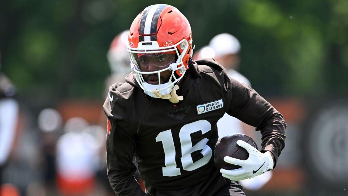New Browns WR Diontae Johnson gives chilly reason for refusing to enter 2024 Ravens game New Browns WR Diontae Johnson gives chilly reason for refusing to enter 2024 Ravens game