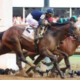 horse-racing-usatsi-generic.jpg