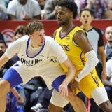 071025-flaggbronny.jpg