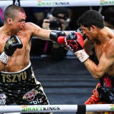 tszyu-fundora-action.jpg