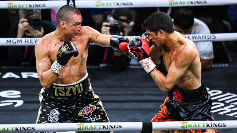 tszyu-fundora-action.jpg