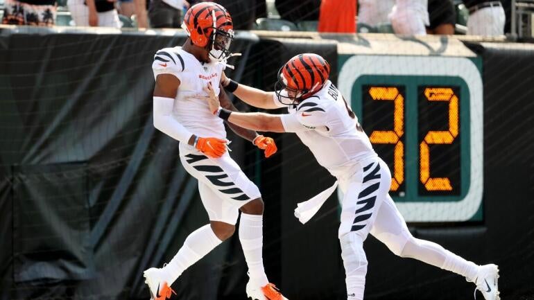 chase-burrow.jpg