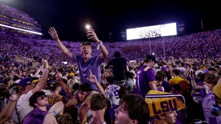 lsu-fans-1.jpg