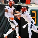 chase-burrow.jpg