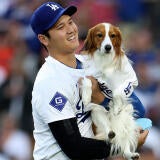 ohtani-decoy-g.jpg