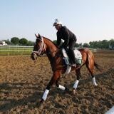 horse-racing-usatsi-generic.jpg