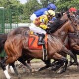 horse-racing-usatsi-generic.jpg