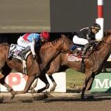 Pegasus Cup at Gulfstream Park