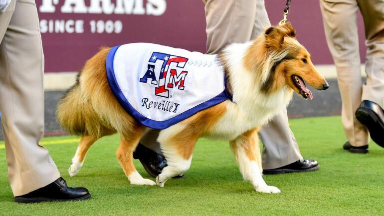 reveille.jpg