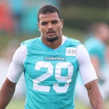 Miami Dolphins Training Camp