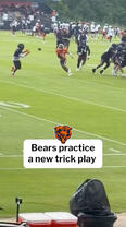 bears-trick-0702525.jpg