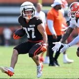browns.jpg