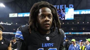 teddy.jpg