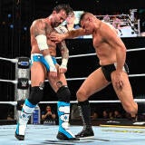 cm-punk-gunther-wwe-summerslam-2025-pro-wrestling-news-today-aug-6-bret-hart-hitman.jpg