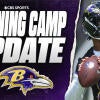 ravens-training-camp.jpg