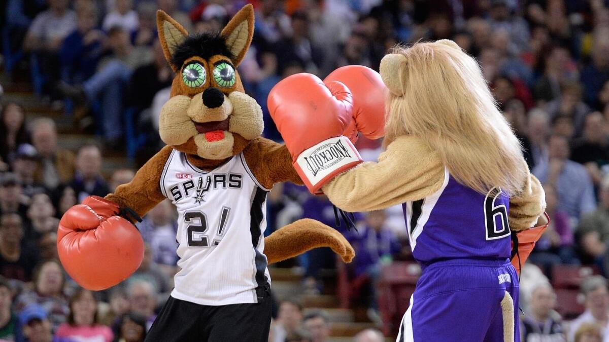 Which NBA Team&#039;s 2025-26 Reveal Video Stands Out?