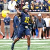 Michigan Maize vs Blue Spring Game