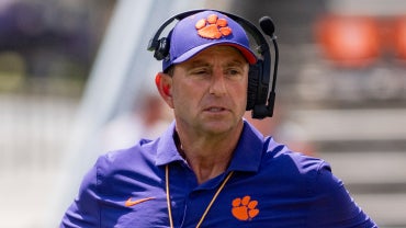 dabo.png