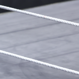 rampage-jackson-quinton-raja-jackson-syko-stu-mma-news-today-ufc-sept-18-2025.jpg