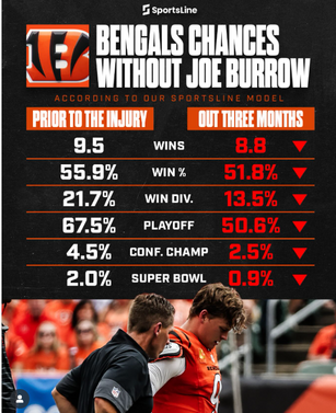 burrow.png