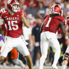 indy.png