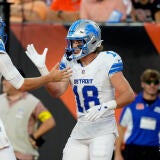 lions-celly.jpg