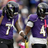 zay-flowers-ravens.jpg