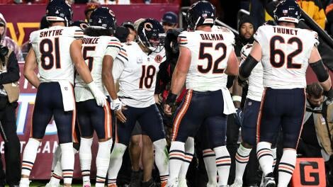 bears.jpg
