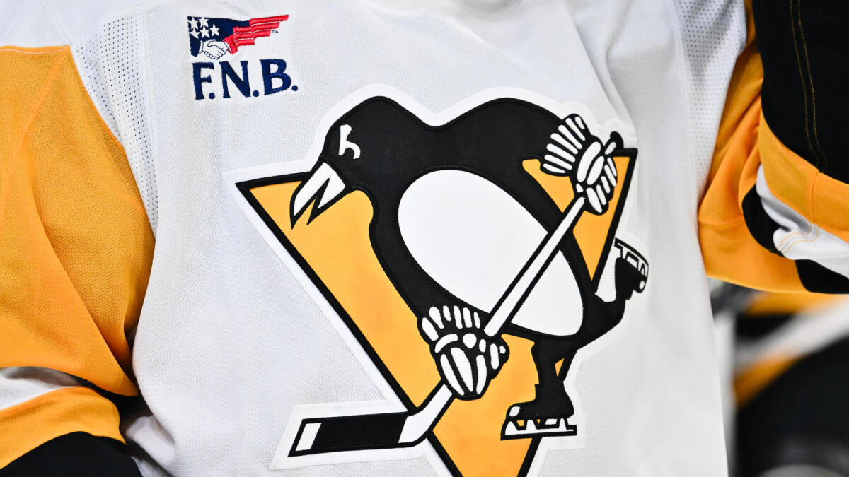 Fan at Penguins-Blues game in Pittsburgh hospitalized in critical condition after falling from upper concourse