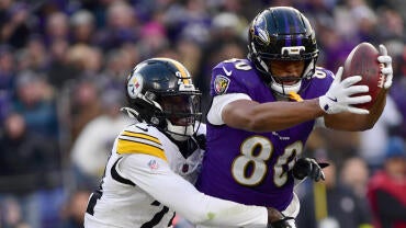 NFL: DEC 07 Steelers at Ravens