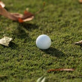 golf-ball-blank-fall-g.jpg