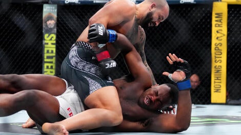 UFC 324: Hokit v Freeman