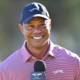 tiger-smile.jpg