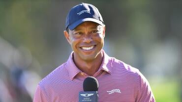tiger-smile.jpg