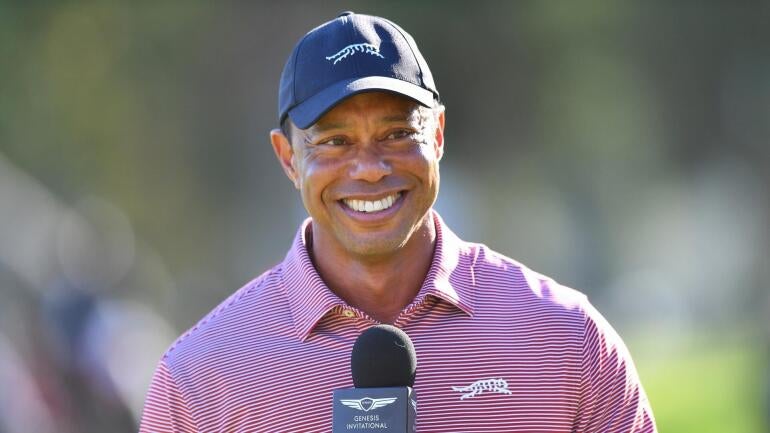 tiger-smile.jpg