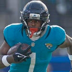 Pittsburgh Steelers v New York Jets