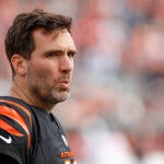 NFL: DEC 28 Cardinals at Bengals