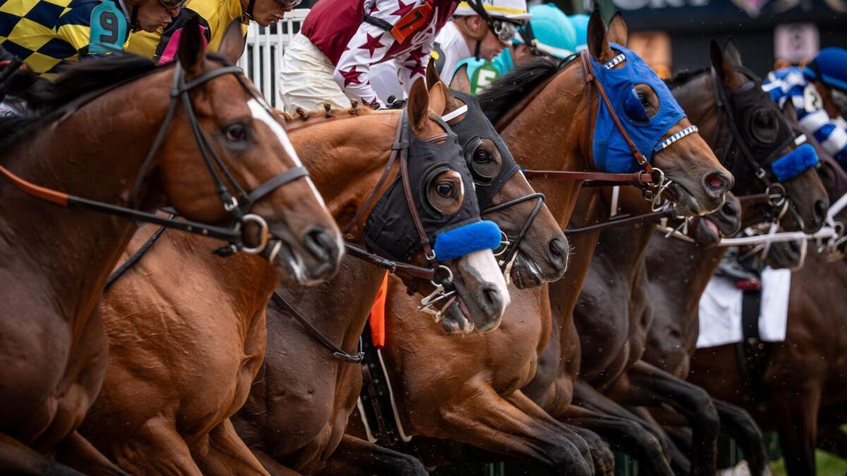 Royal Ascot 2026: Top horses, races, odds, preview for five-day meet in England