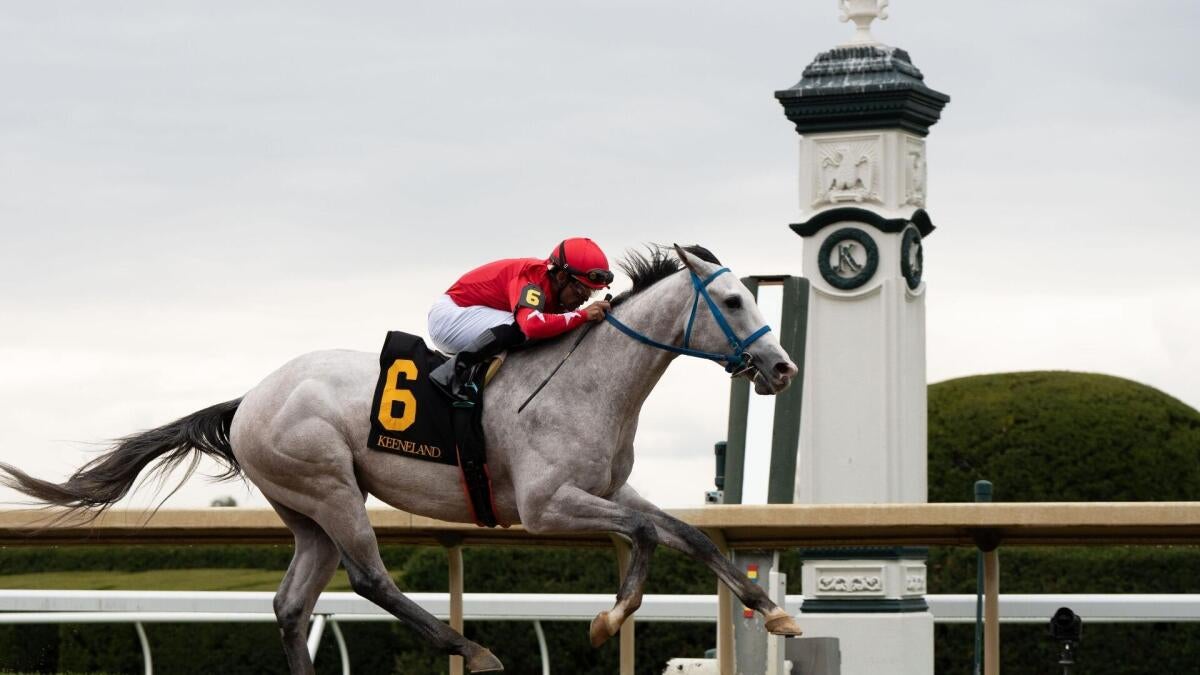 Lexington Stakes 2026 predictions, odds, time: Horse racing picks from expert with 65% win rate